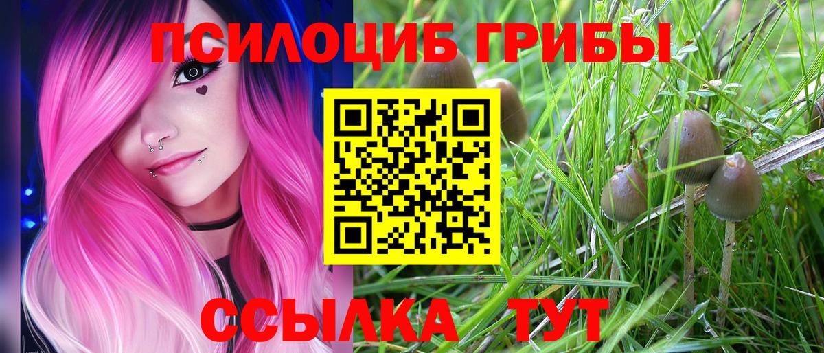 Псилоцибиновые грибы Magic Shrooms  закладки  Вход с VPN  Лобня  Галлюциногенные грибы Psilocybe 
